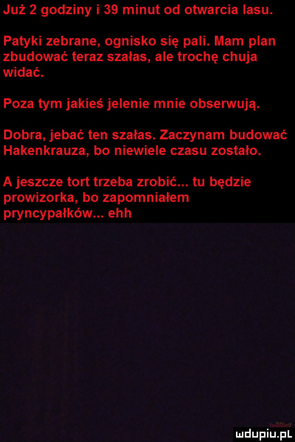 już   godziny i    minut od otwarcia lasu. patyki zebrane ognisko się pali. mam plan zbudować teraz szałas ale trochę chuja widać. poza tym jakieś jelenie mnie obserwują. dobra jebać ten szałas. zaczynam budować hakenkreuza bo niewiele czasu zostało. a jeszcze tort trzeba zrobić. tu będzie prowizorka bo zapomniałem pryncypałków. ech