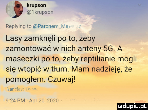 f krupson   l krupson replying to parchem mru lasy zamknęli po to żeby zamontować w nich anteny  g. a maseczki po to żeby reptilianie mogli się wtopić w tłum. mam nadzieję że pomogłem. czuwaj ham v      pm aar         ludu iu. l