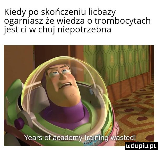 kiedy po skończeniu iicbazy ogarniasz że wiedza o trombocytach jest ci w chuj niepotrzebna yeats of anademy tra ning asted ludupiu. pl