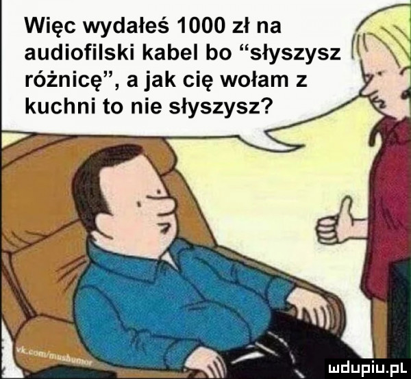 więc wydałeś      zł na audiofilski kabel bo słyszysz różnicę a jak cię wołam z kuchni to nie slyszysz