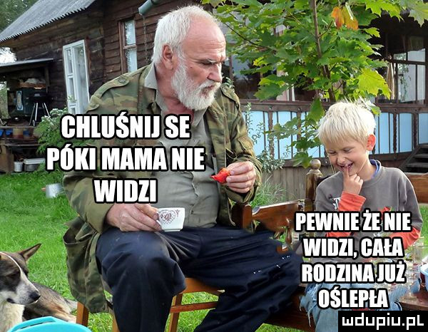 l xi r i oki imam wlllll ynhnliwlmi nas. emki em x i iniuiiiaiul ignśunu
