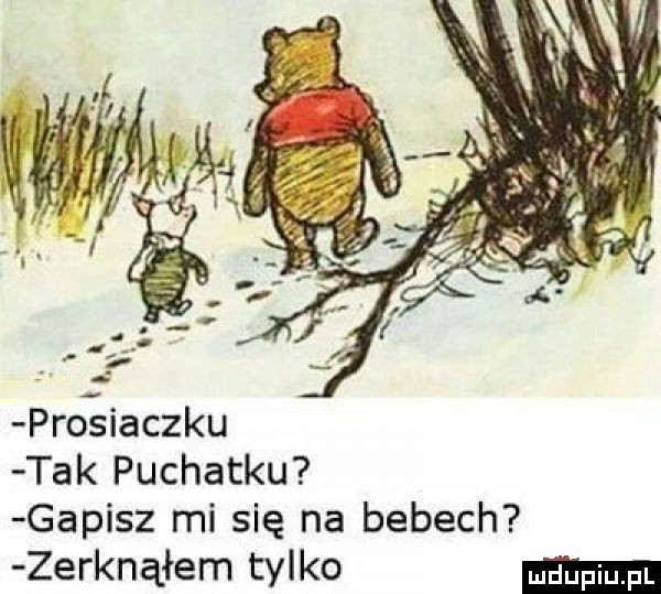 pro iaczku tak puchatku gapisz mi się na bebech zerknąłem tylko