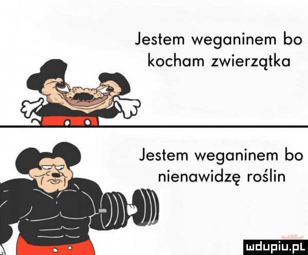 jestem weganinem bo kocham zwierzątko jestem weganinem bo nienawidzę roślin ludu iu. l