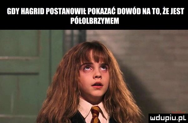 gi iiagiiiii fiistaiiiiwił i llkalaś iiiiwóii a i il.  e ihs i półillbbivmem n