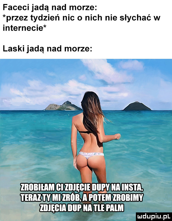 faceci jadą nad morze przez tydzień nic o nich nie słychać w internecie laski jadą nad morze i