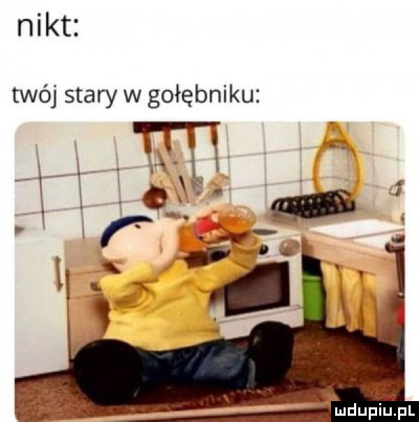 nikt twój stary w gołębniku ludupinl