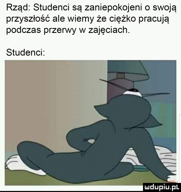 rząd studenci są zaniepokojeni o swoją przyszłość ale wiemy że ciężko pracują podczas przerwy w zajęciach. studenci