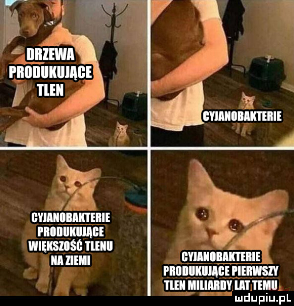 iibzewi pbiiiiiikiiiage tleli cvumnnmm x gviaiiiiik i eiiie piiiiiiikiiiige em mul a llllll gmlllllmllli priiiikiiaiee pierwszy i lill liliiiiiiv ll l tim