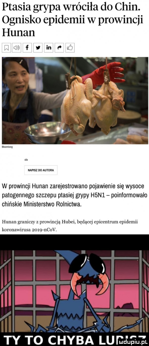ptasia grypa wróciła do chin. ognisko epidemii w prowincji hunan m m f y in v wsz oo auidra w prowincji hunan zarejestrowano pojawienie się wysoce patogennego szczepu ptasiej grypy h n  poinformowało chińskie ministerstwo rolnictwa. hunan grani z prowincją hebel będącej epicentrum epidemii koronawirusa zoigrncnv. ty to chyśk lum arm