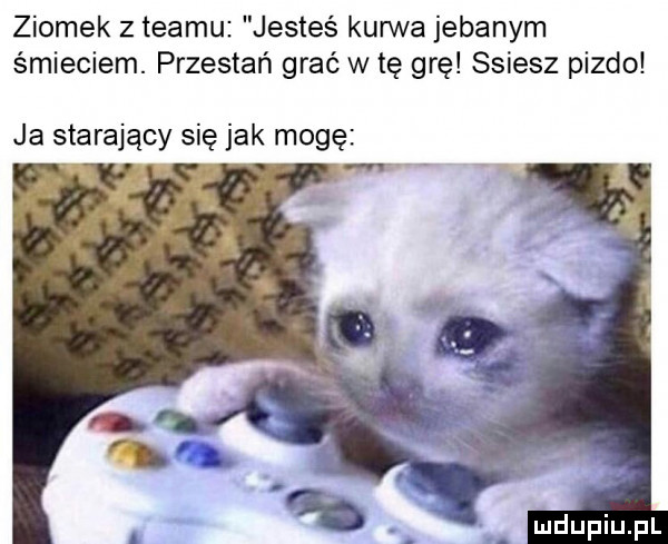 ziomek z teamu jesteś kurwa jebanym śmieciem. przestań grać w tę grę ssiesz pizdo ja starający się jak mogę