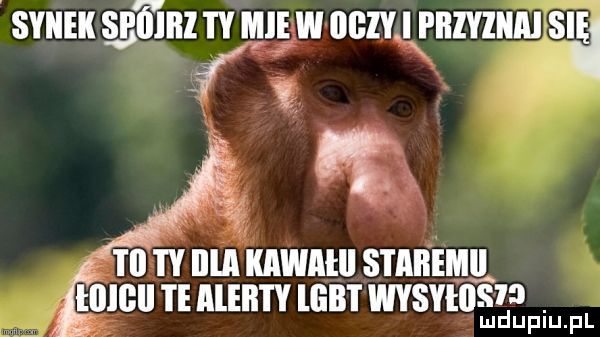 synek spﬁblf mie w    i i lllyllllu sia n uff anntu smnmu i lllgll ie illeii i y llib l wvsyhists ludupiu. pl