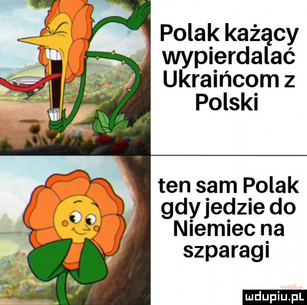 polak każący. wypierdalaé ukraińcomz ten sam polak gdyjedzie do niemiec na szparagi ludu iu. l