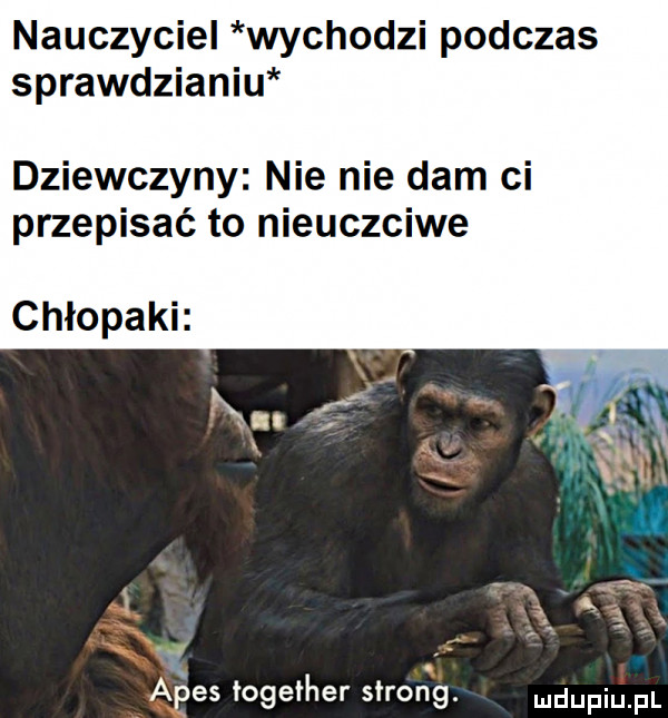 nauczyciel wychodzi podczas sprawdzianiu dziewczyny nie nie dam ci przepisać to nieuczciwe chłopaki. abakankami    . l i qw r  . abakankami gees together strong.   i