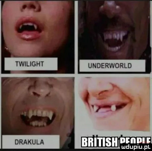 twilight underworld drakula m mduplu pl