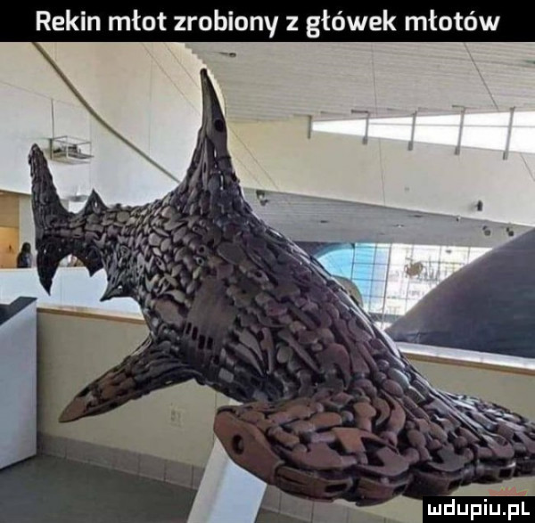 rekin młot zrobiony główek młotów