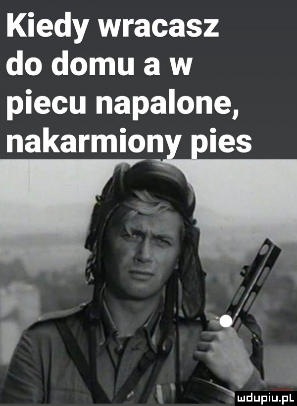 kiedy wracasz do domu a w piecu napalone nakarmion ihs. l x