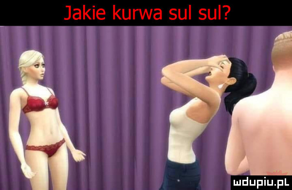 duciu pl