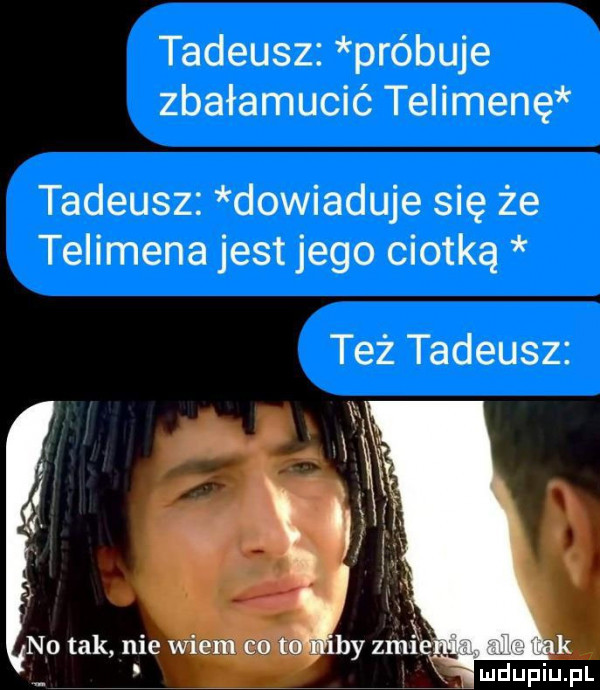 tadeusz próbuje zbałamucić telimenę tadeusz dowiaduje się że telimena jest jego ciotką też tadeusz