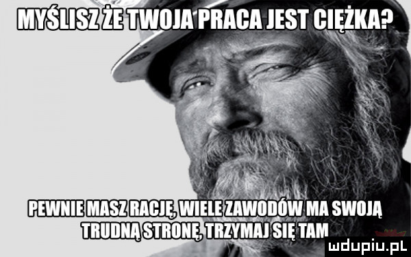 ma twdia plaga gest ęą. ijsię i mii