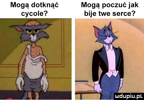 mogą dotknąć mogą poczuć jak bije twe serce vu