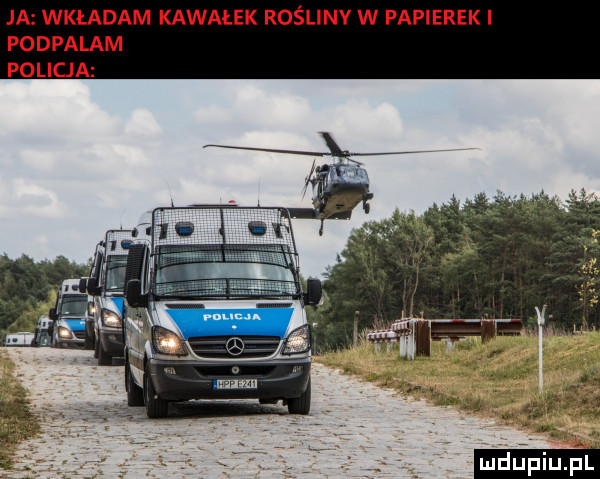 j wała m kawałek rośliny w papierek i podpalam policj