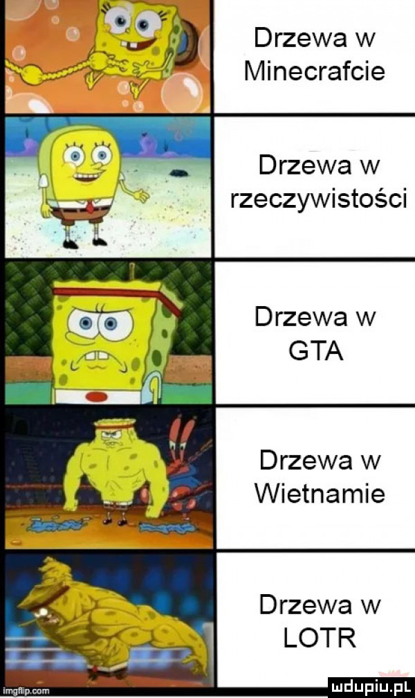 drzewa w minecrafcie drzewa w rzeczywistości drzewa w gta drzewa w wietnamie drzewa w lotr