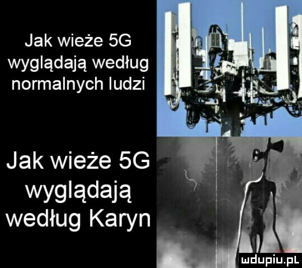 jak wieże  g wyglądają według normalnych ludzi jak wieże  g wyglądają według karyn