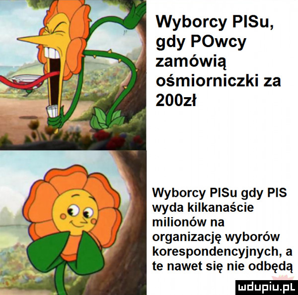 wyborcy pasu gdy powcy zamówią ośmiorniczki za    zł wyborcy pasu gdy pis wyda kilkanaście milionów na organizację wyborów korespondencyjnych a te nawet się nie odbędą ludu iu. l