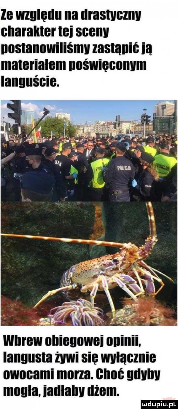 ze wzgledu na drastyczny charakter tai sceny nostanewiliśmy zastanie ia materiałem neświęcnnym ianuuście. wbrew clrieuewei chin ianyusia żywi sie wylacznie owocami marza. cnuc gdyby mogla. ialllalry dżem. urdupiu pl