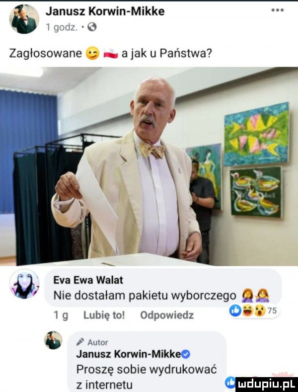 janusz korwin mikre   godz zagipsowane a jak u państwa m ax x i eva ewa wala nie dostałam pakietu wyborczego g   g lubię to odpowiedz o. m b f mam janusz korwin mikkeo proszę sobie wydrukować z internetu