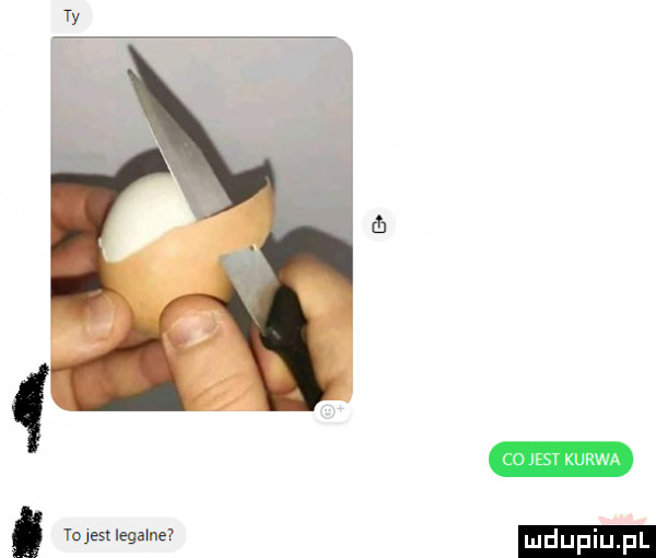 tnjest legalne ludupiu