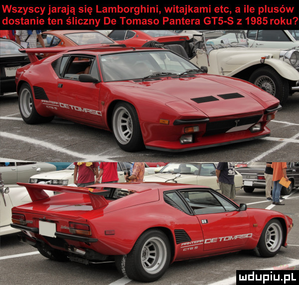 wszyscy jarają się lamborghini witajkami ebc a ile plusów dostanie ten śliczny de tomasa pantera gt  s z      roku