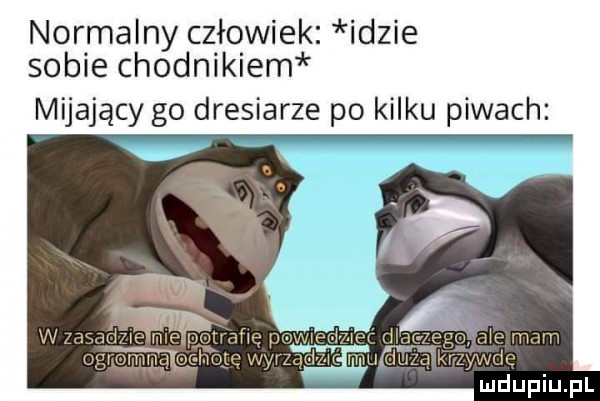 normalny człowiek idzie sobie chodnikiem mijający go dresiarze po kilku piwach