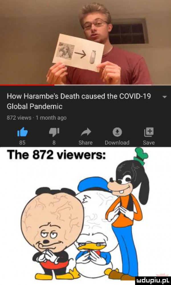 hiw haramie s death caused tee covidjq globul pandemic lb tee     viewers
