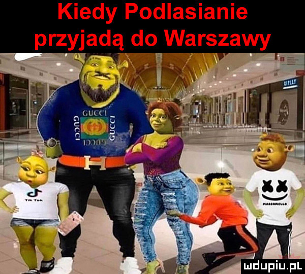 m ibl ludupiu pl