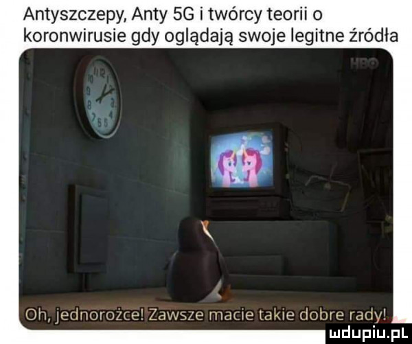 antyszczepy anty sg i twórcy teorii o koronwirusie gdy oglądają swoje iegitne źródła oh jednomzce zawsze mace takie dobre rady