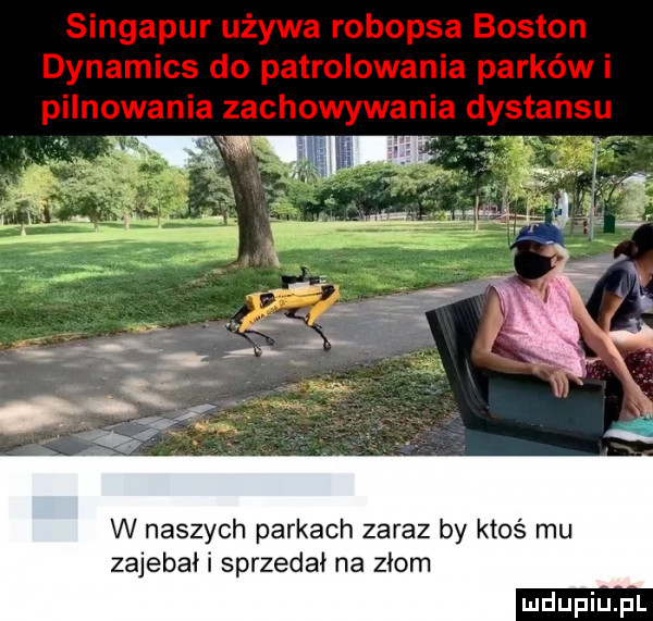 w naszych parkach zaraz by ktoś mu zareba i sprzedał na złom