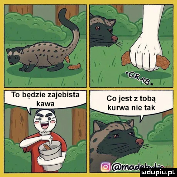 co jest z tobą kurwa nie tak to będzie zajebista kawa fa m ęevśśefl i