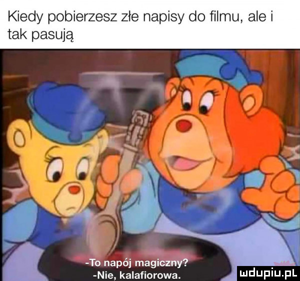 kiedy pobierzesz złe napisy do filmu ale i tak pasują. e. abakankami i l. v s  . to napój magiczny nie kalafiorowa