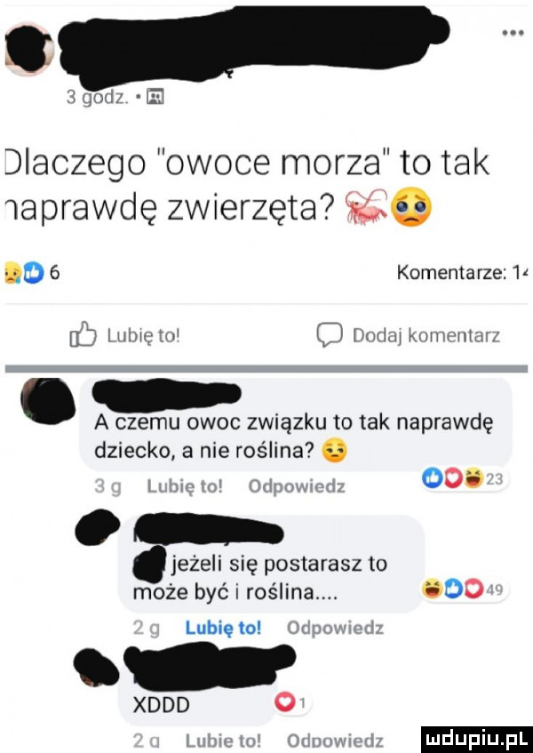 gad e dlaczego owoce morza to tak naprawdę zwierzęta o   komemarze        lnhlg tal c uml kum mm. a czemu owoc związku to tak naprawdę dziecko a nie roślina. abakankami jeżeli się postarasz to może być i roślina. oo oo. lubię to xddd o ludu iu. l