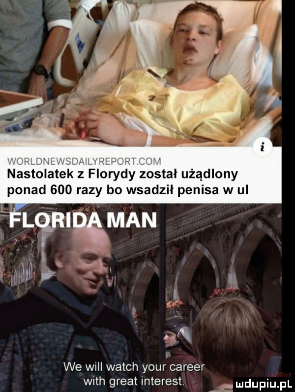 l r z   w c nastolatek z florydzy został użądlony ponad     razy bo wsadzil penisa w ul lipman l. abakankami a we will wajch your carrer with great interest