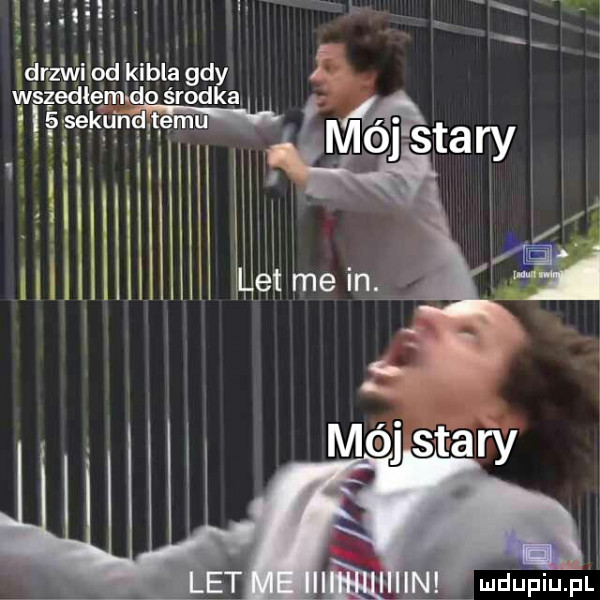 xł x drzevglląod kdibla gag ł ęlsekunaw maary lill                ą      ll          é main mdﬁpiupl
