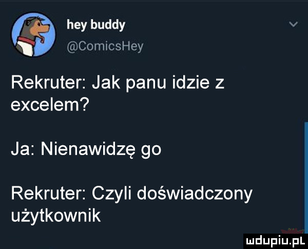 hey buddy v i cowcshey rekruter jak panu idzie z excelem ja nienawidzę go rekruter czyli doświadczony użytkownik