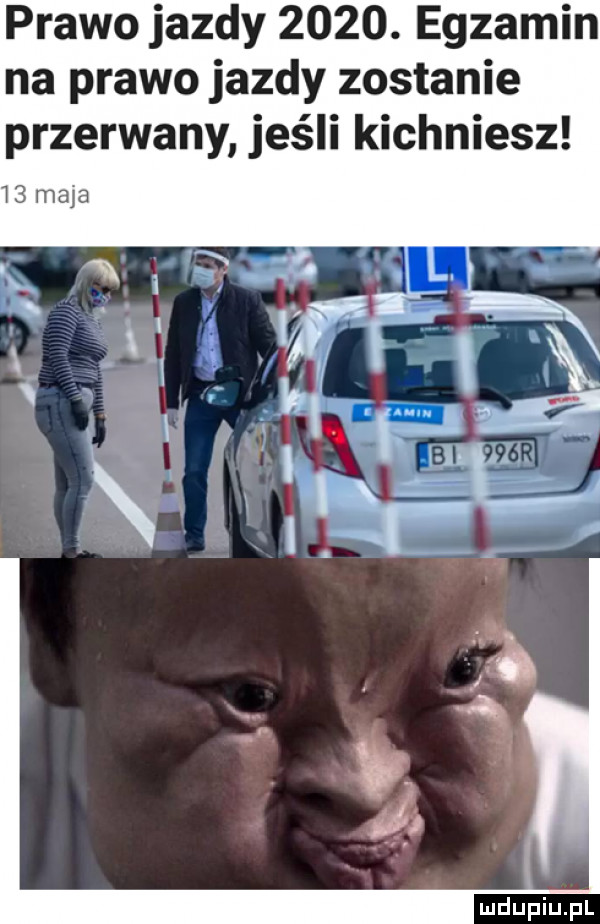 prawo jazdy     . egzamin na prawo jazdy zostanie przerwany jeśli kichniesz