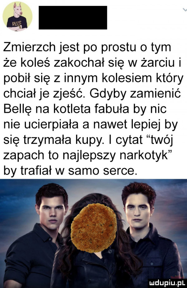 na zmierzch jest po prestu o tym że koleś zakochał się w żarciu i pobił się z innym kolesiem który chciał je zjeść. gdyby zamienić belle na kotleta fabuła by nic nie ucierpiała a nawet lepiej by się trzymała kupy. i cytat twój zapach to najlepszy narkotyk by trafiał w samo serce. u i