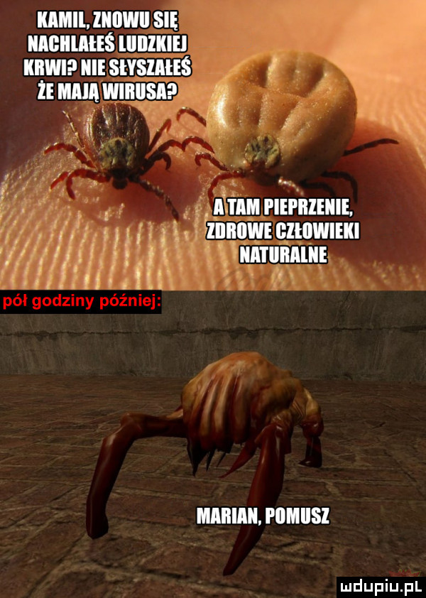 kamil liiiiwii się iiagiilmeś liiiilkiei kiwi icie sivsiaieś ze mną wiiiiisi n. ham piepblellie. iiiiiiiwe cztowmu unrunnlni