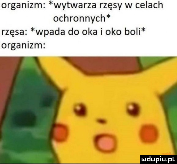 organizm wytwarza rzęsy w celach ochronnych rzęsa wpada do oka i oko bogi organizm