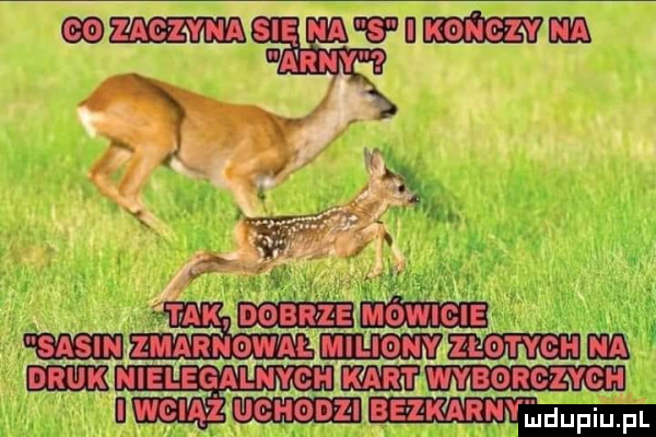 mwnmm t ax cen launch ła m nielegalnych mm glen i ucnonzl
