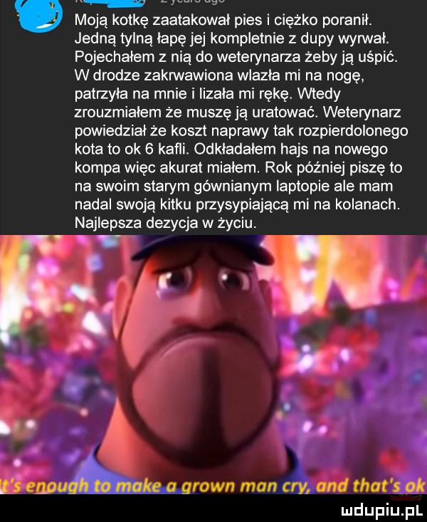 moją kotkę zaatakował pies i ciężko poranił. jedną tylną łapę jej kompletnie z dupy wan vii. pojechałem z nią do weterynarza żeby ją uśpić. w drodze zakrwawione wlazła mi na nogę patrzyła na mnie i lizała mi rękę. wtedy zrouzmiałem że muszę ją uratować. weterynarz powiedział że koszt naprawy tak rozpierdolonego kota to ok   kafli. odkładałem hajs na nowego kompa więc akurat miałem. rok później piszę to na swoim starym gównianym laptopie ale mam nadal swoją kątku przysypiającą mi na kolanach. najlepsza dedycja w życiu. abakankami. n cv a o. abakankami no o. it s enough w make a grown man cny and trat s ok