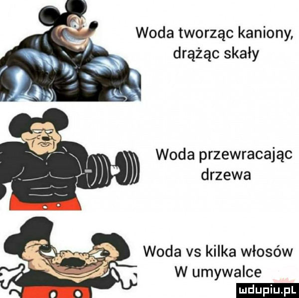 woda tworząc kaniony drążąc skały woda przewracając drzewa woda vs kilka włosów w umywalce ludu iu. l